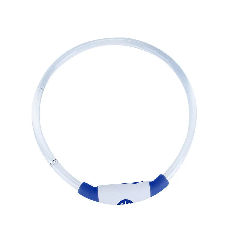 Blue USB rechargeable LED dog collar glowing with 360-degree visibility for nighttime pet safety