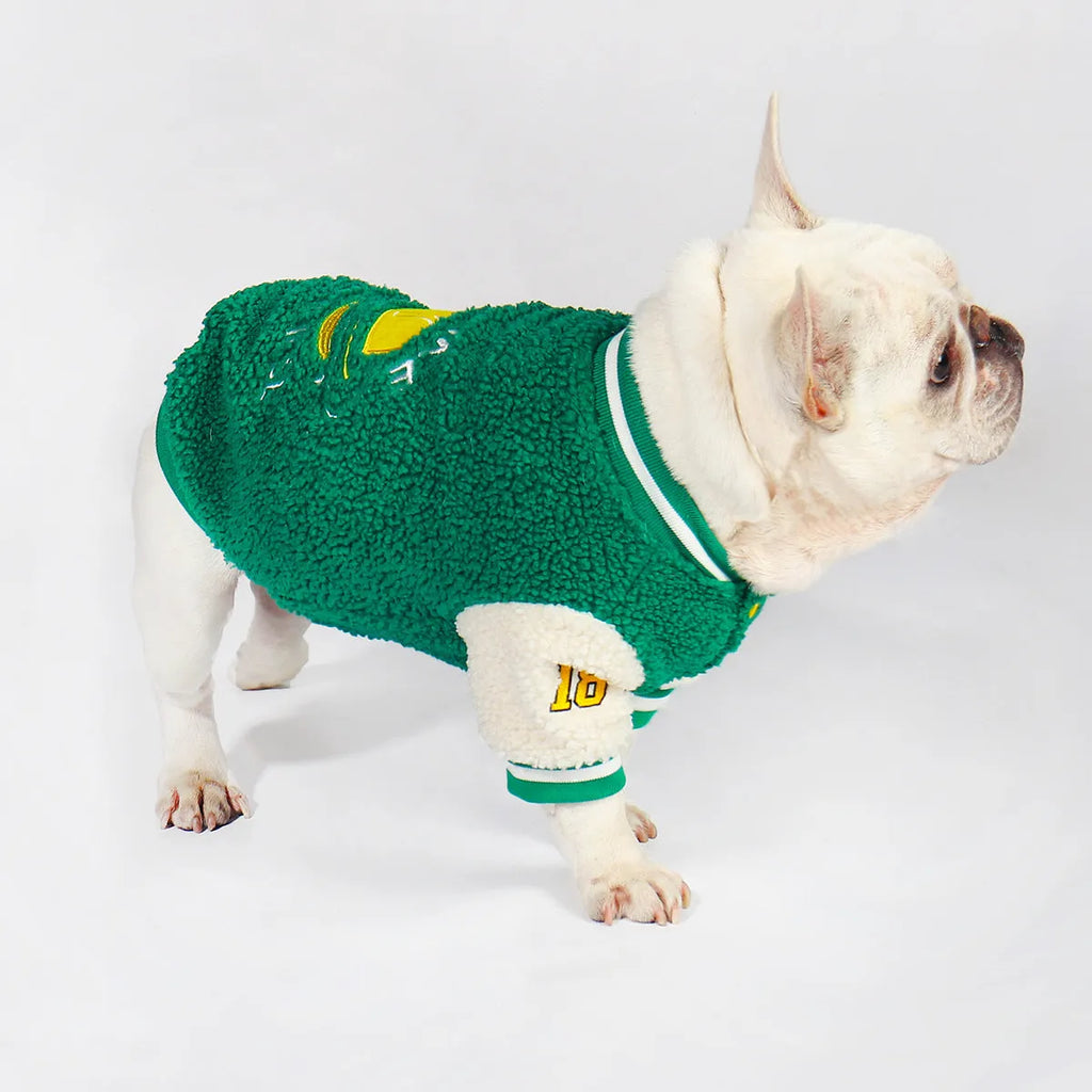 Fleece-lined cotton dog winter coat in green, suitable for sizes L to 4XL