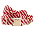 Striped polyester dog collar in Candy Green with bow knot, adjustable neck size for small to large dogs