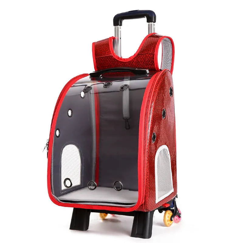 Transparent folding pet trolley bag for small dogs and cats with shoulder straps