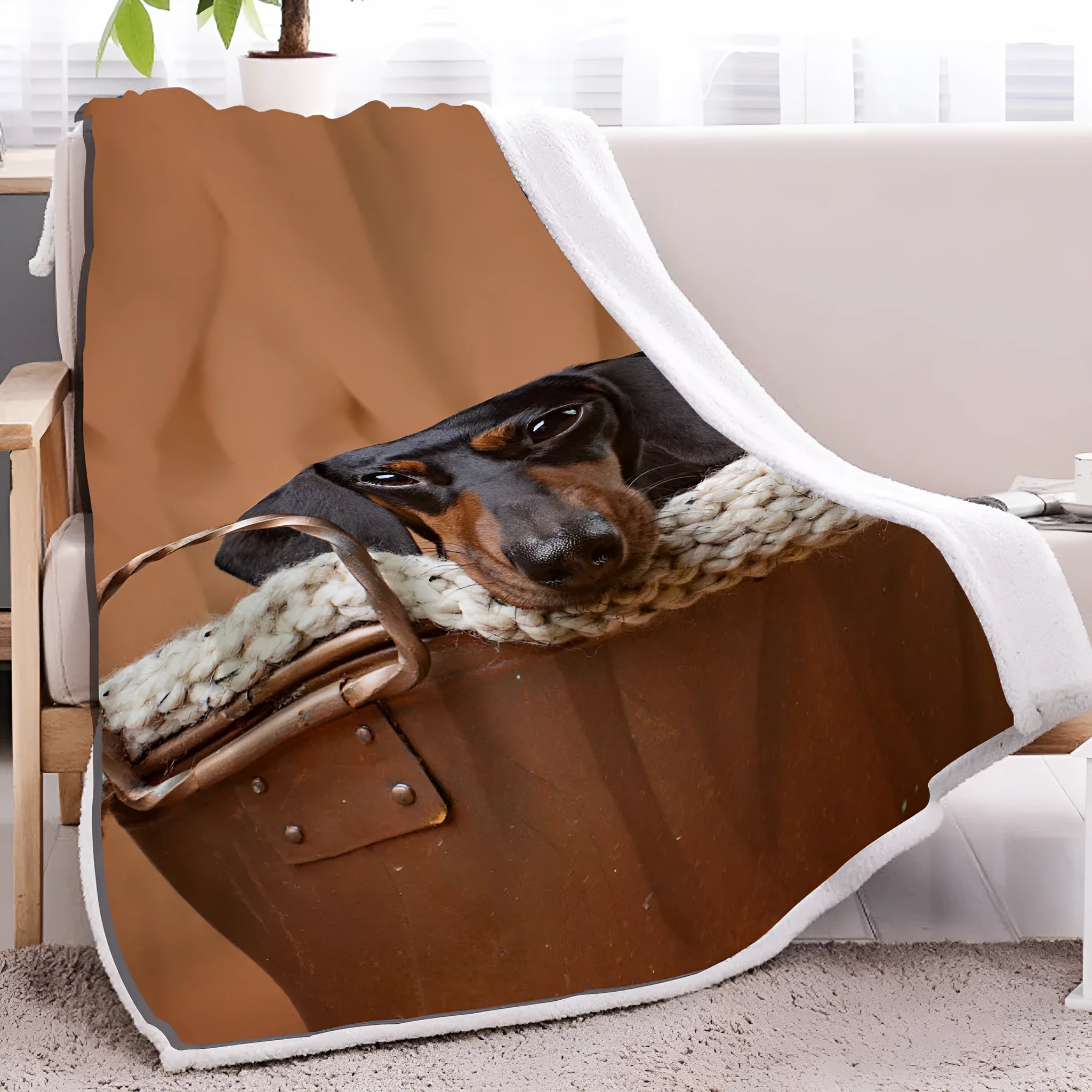 Brown sausage dog themed lamb wool blanket folded on a sofa, 130x150cm size
