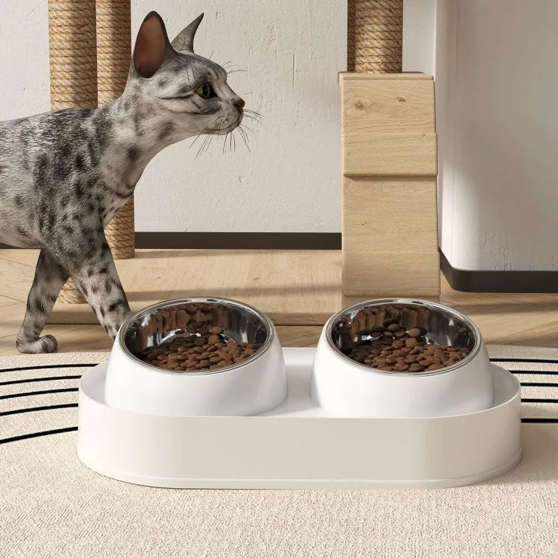 Pet double bowl feeder with 10° tilt, 12cm height, white base, and ceramic bowls on non-slip silicone pad