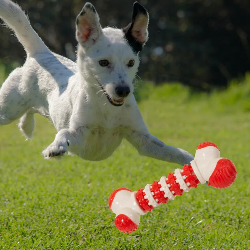 Blue, orange, and red bone-shaped rubber dog chew toy with a treat slot, shown next to dog biscuits.