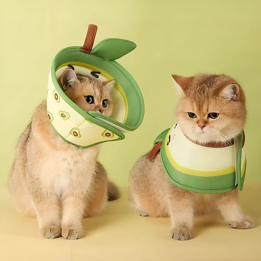 Soft adjustable EPE cat cone collar for post surgery recovery and licking prevention