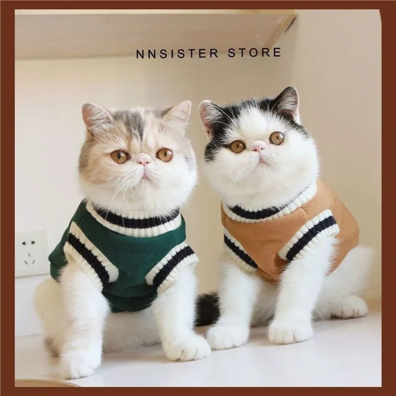 College-style warm winter cat coat in wine red on a British Shorthair cat, size M, side view