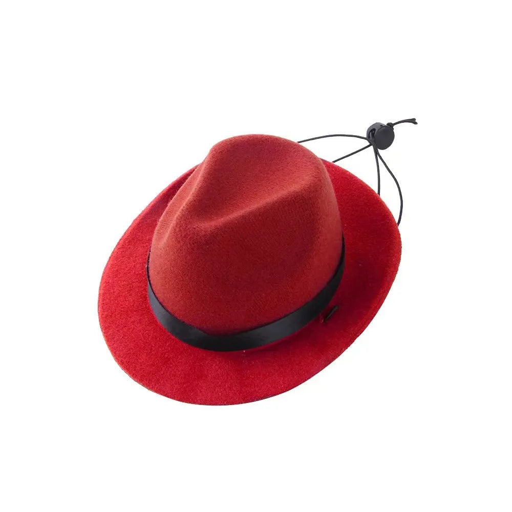 S size 155cm diameter wool felt mini pet hat in black, brown, pink or red for sun protection and holidays.