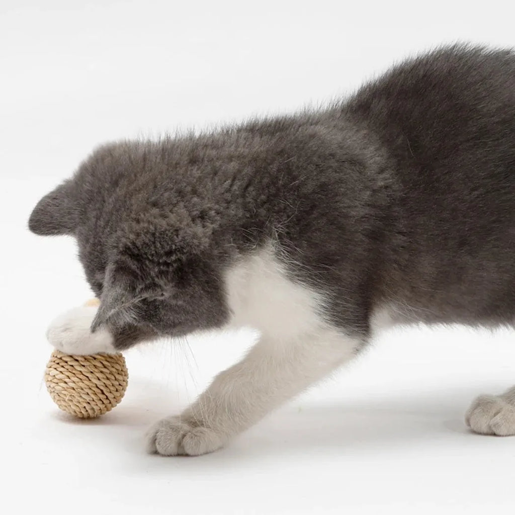 Cat toy set showing rattan ball with bell and faux feather ball on neutral background