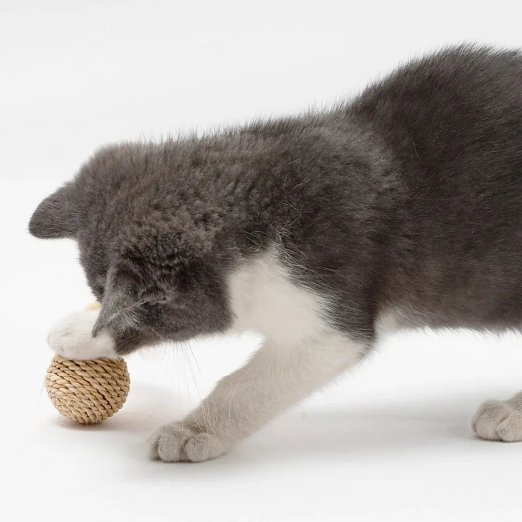 Cat toy set showing rattan ball with bell and faux feather ball on neutral background