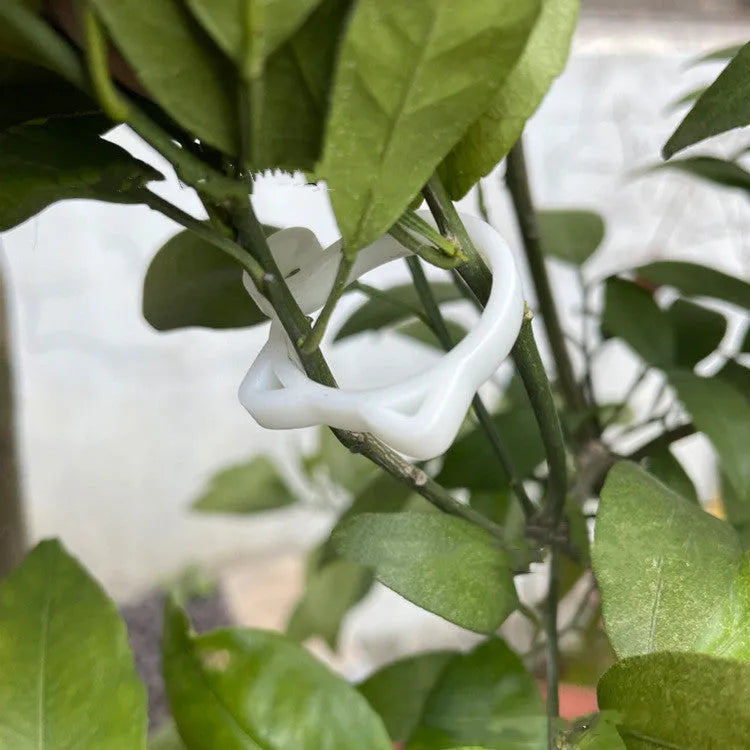 Cat-shaped plastic plant clip for gardening in red, yellow, green, and white colour options