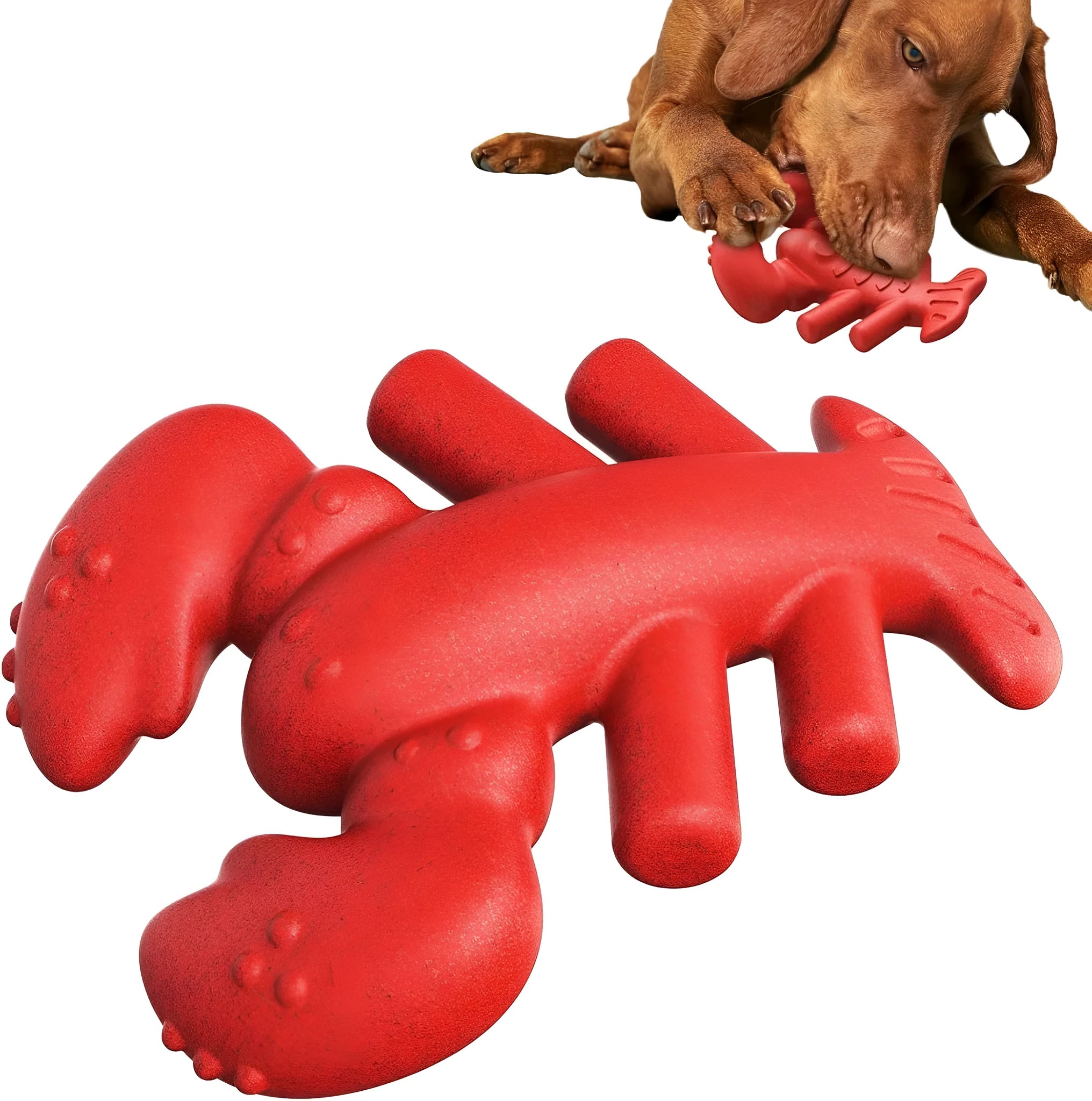 Red hard chew toy for large dogs measuring 170mm by 132mm for aggressive chewers