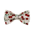 Red cherry printed dog collar set with light gold buckle and bow strap on cloth leash