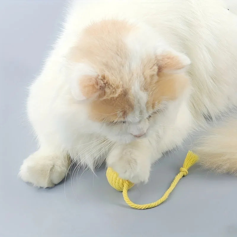 Cat toy ball with rope handle and bell inside in bright colours for kitten play