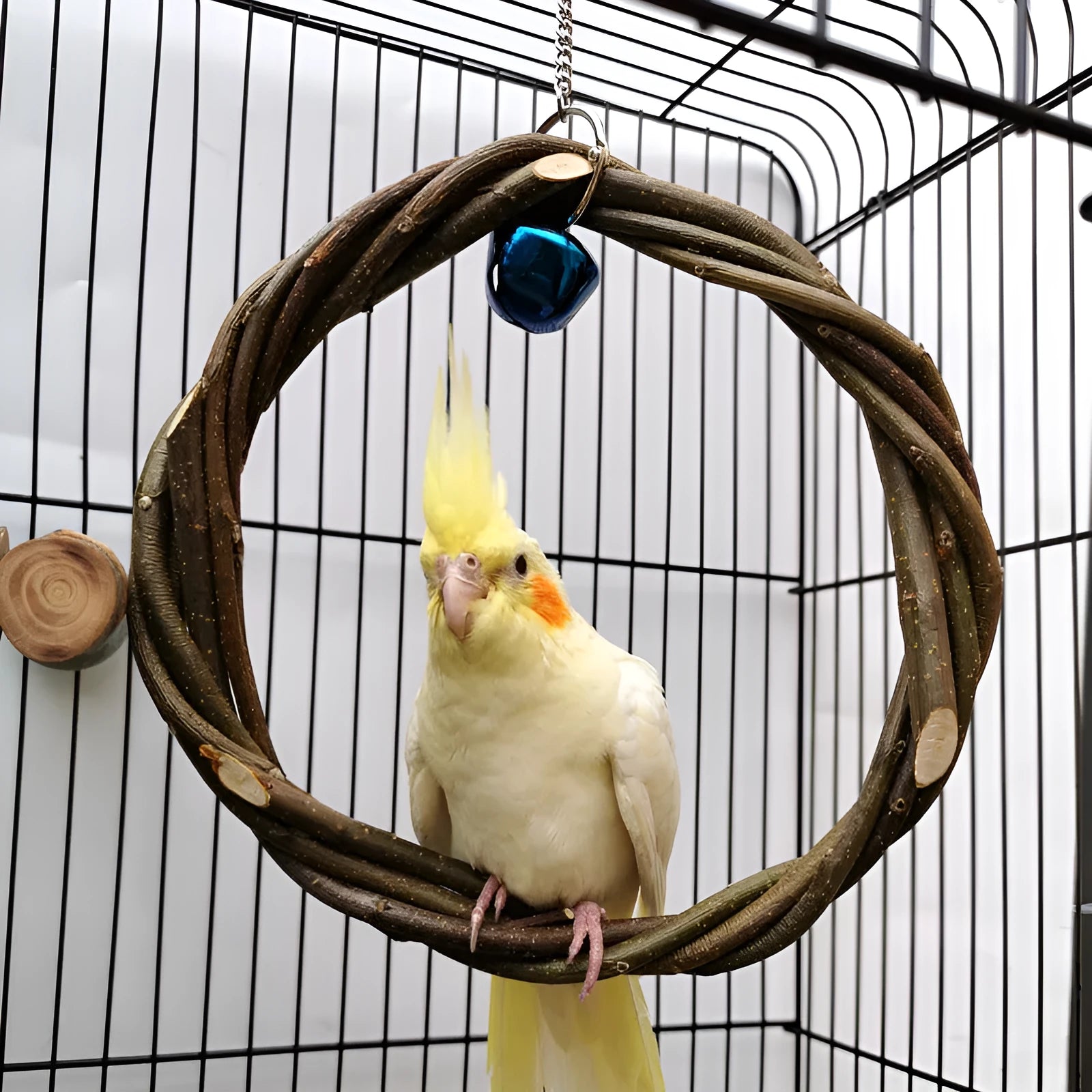 Natural apple branch braided ring bird toy in 15cm diameter for small birds, wood standing frame