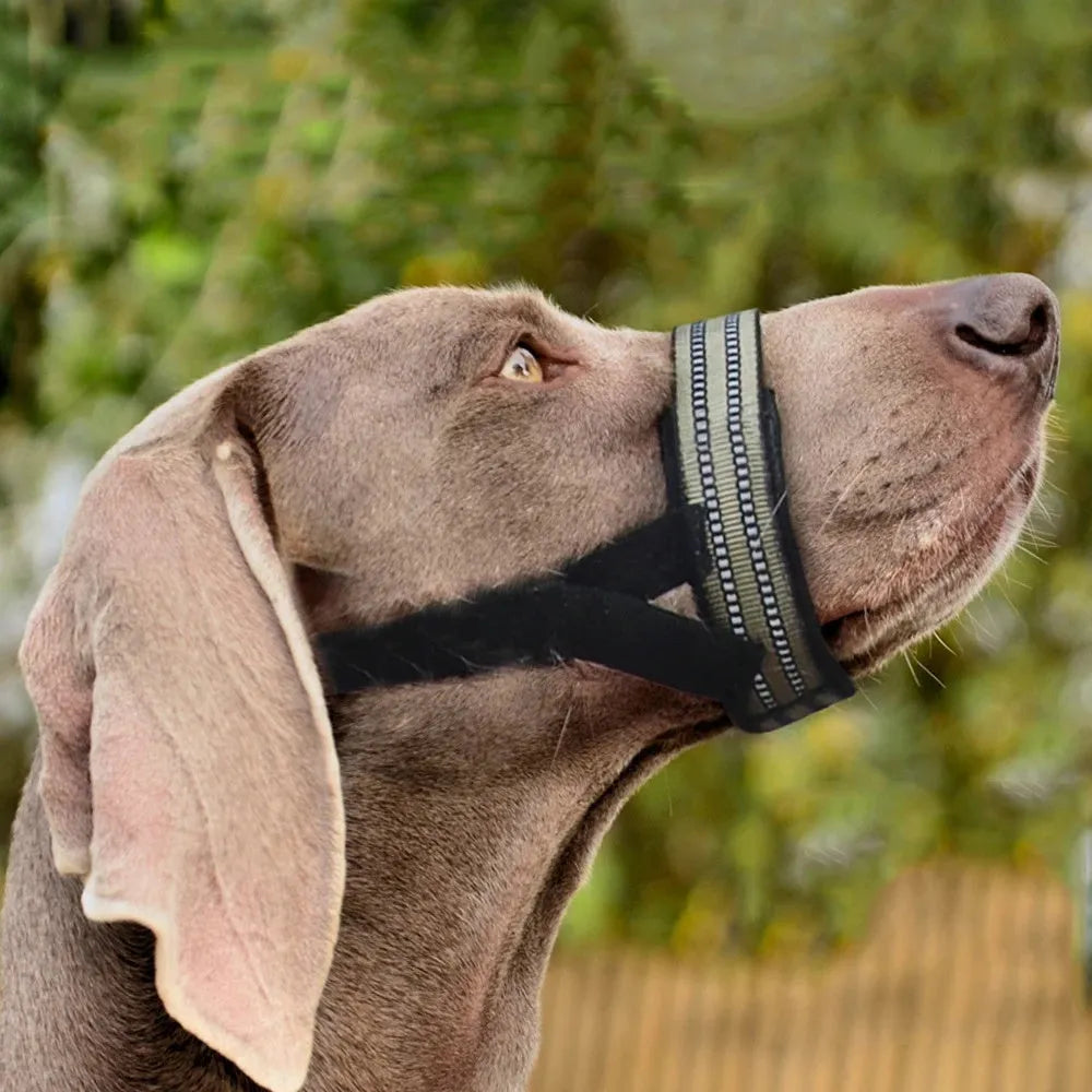Adjustable reflective anti-biting dog muzzle for medium large dogs in black on a white background