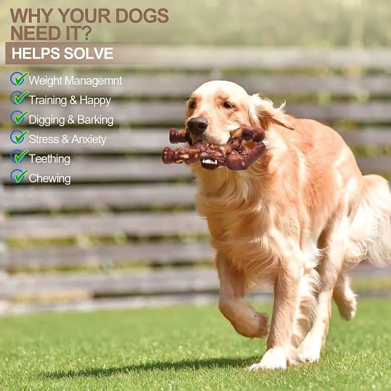 Scarlet nylon dog chew toy with beef flavour for molar cleaning and anxiety relief