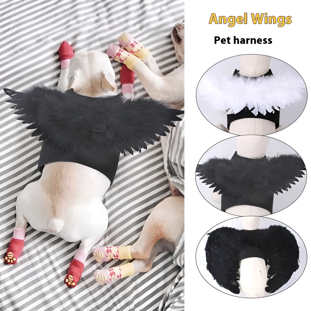 Halloween angel wings pet costume on a dog, chest-back felt cloth design, available in black or white, sizes S M L