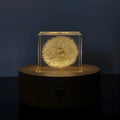 Dandelion preserved in a clear 5cm resin cube on a wooden box with USB charging base for tabletop decoration