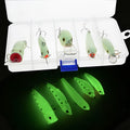 3D fluorescent simulation luminous hard fishing bait set with five pieces