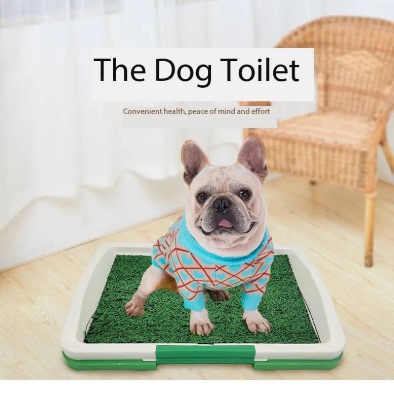 Green artificial grass indoor dog potty training tray with removable base, dimensions 50cm by 60cm.