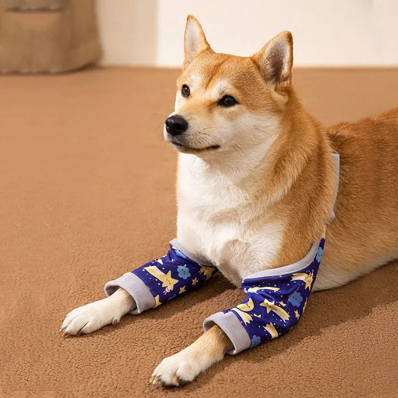 Blue dog knee protector wrap with thick elbow pad and matching scarf on a medium large dog