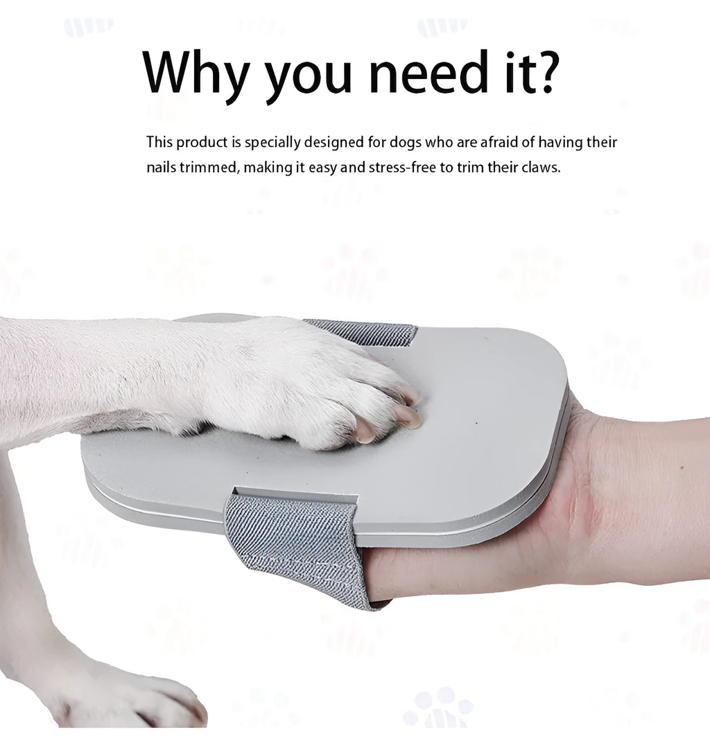 Gray dog nail file with detachable claw grinder and nail scraper board on white background
