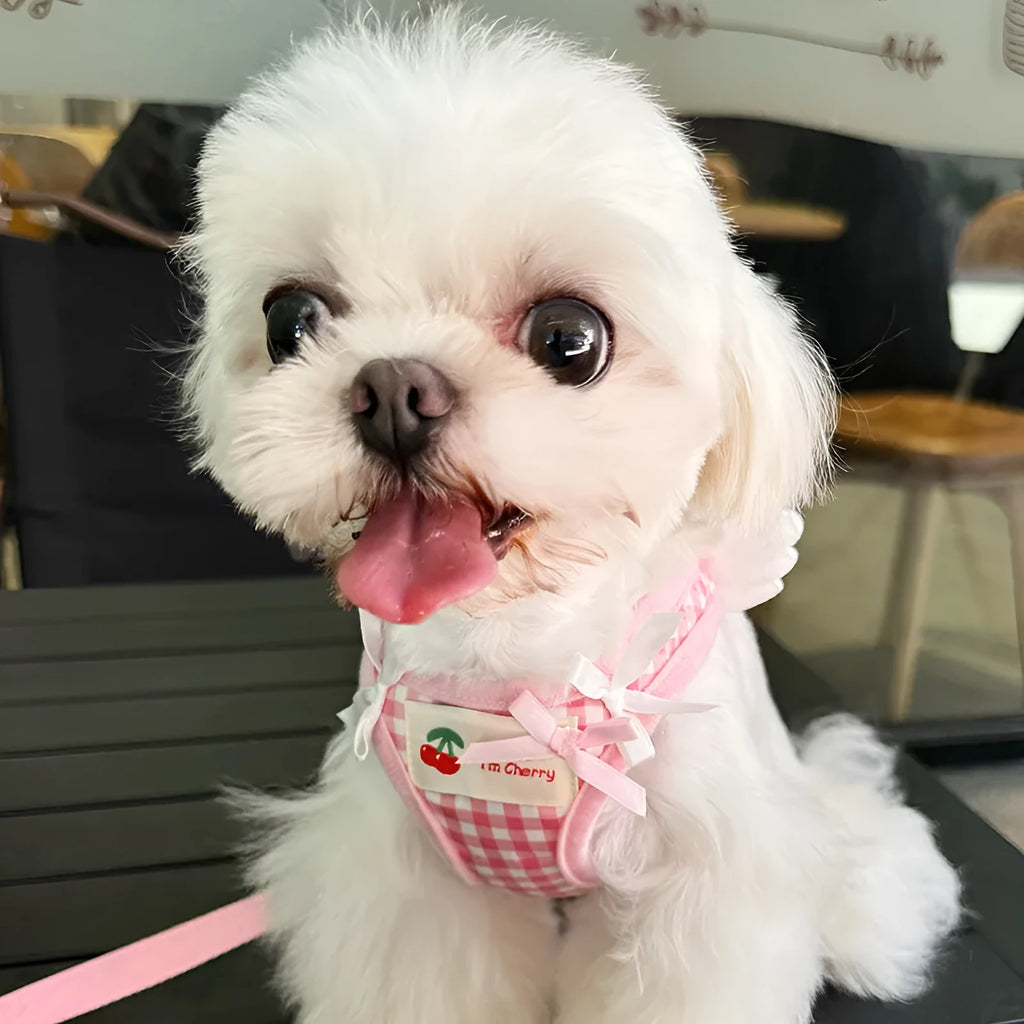 Cotton chest and back harness with hand holding rope for small dogs in pink and black colours