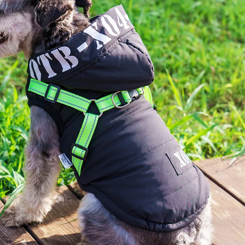 Red waterproof fleece-lined dog jacket with hood for winter wear on a small dog