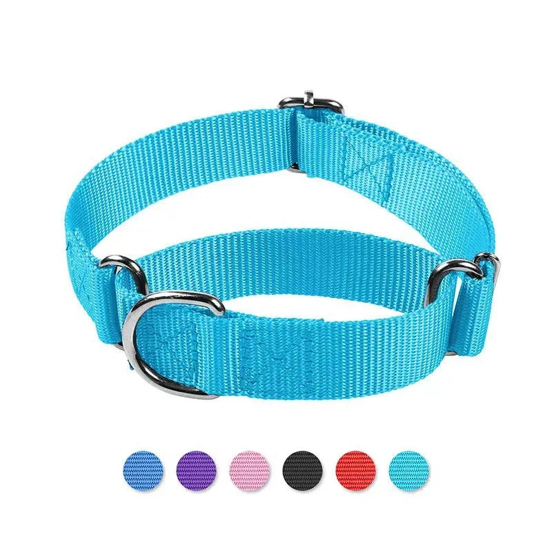 Adjustable nylon explosion-proof pet collar in blue with hand-holding rope for cats and dogs