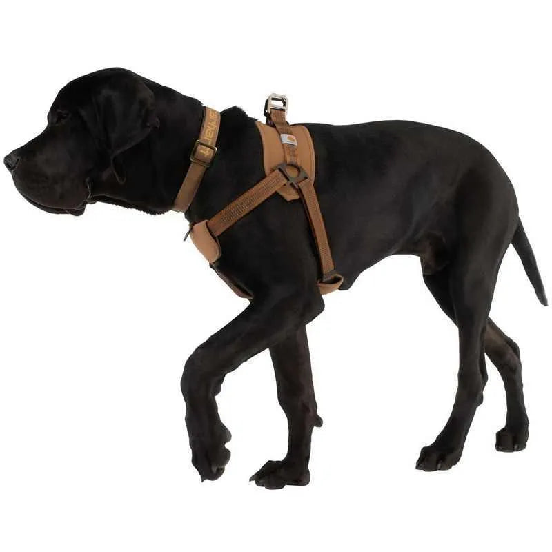Reflective dog chest strap training belt with hand holding rope, size M L XL, 1.8 metre length