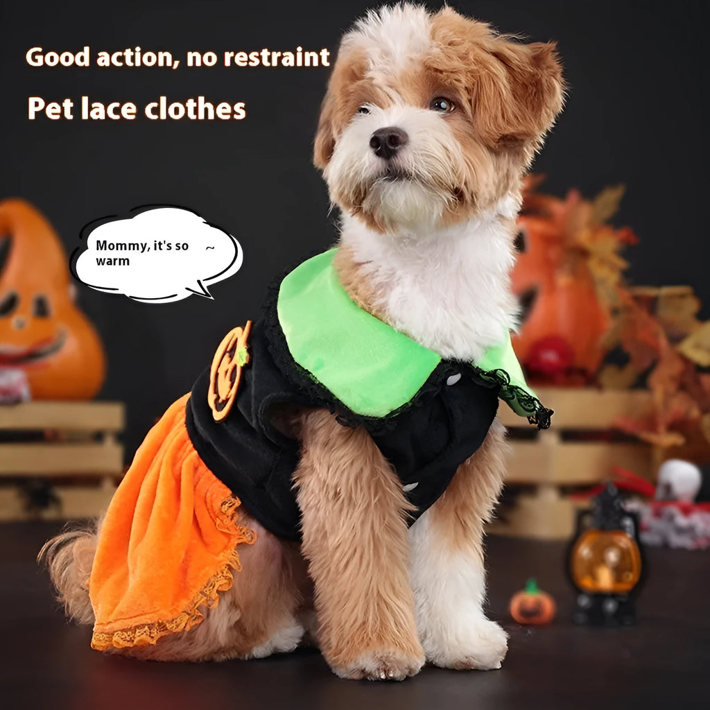 Halloween pumpkin skirt pet costume in crystal velvet for small dogs and cats