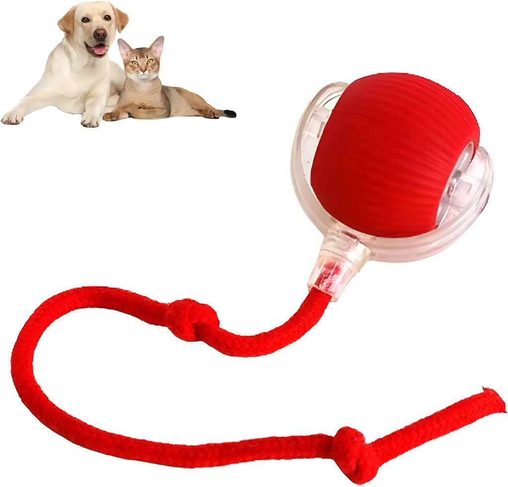 Interactive smart rolling ball toy for dogs and cats 6.5cm diameter in gray with rope attachment