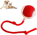 Interactive smart rolling ball toy for dogs and cats 6.5cm diameter in gray with rope attachment