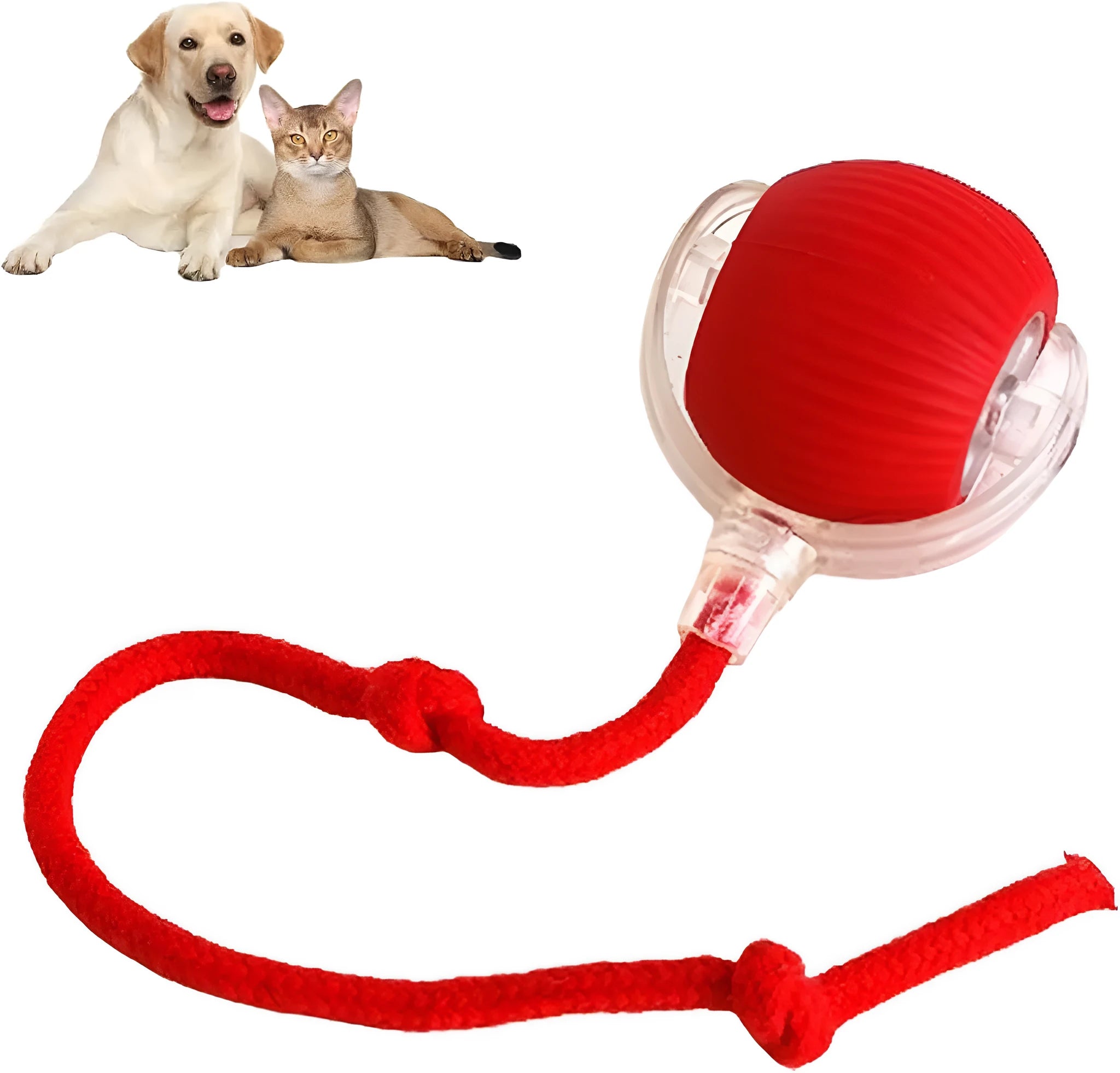 Interactive smart rolling ball toy for dogs and cats 6.5cm diameter in gray with rope attachment