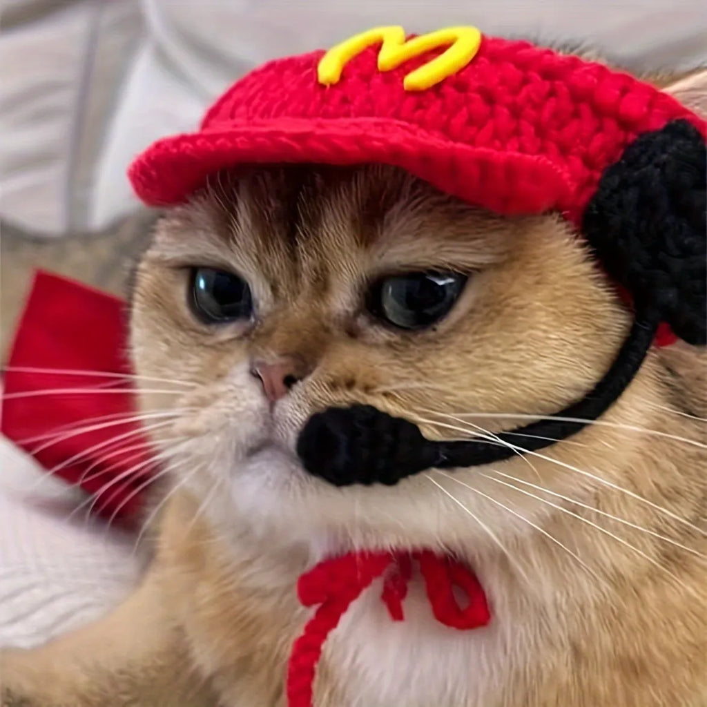Handmade cotton chef hat and knitted sweater outfit for a small cat wearing a birthday costume