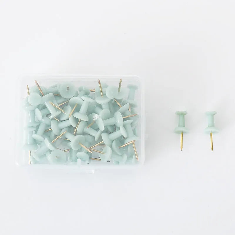 Creative Morandi colour pushpins 50 pieces DIY push pin in green grey pink and mixed colours