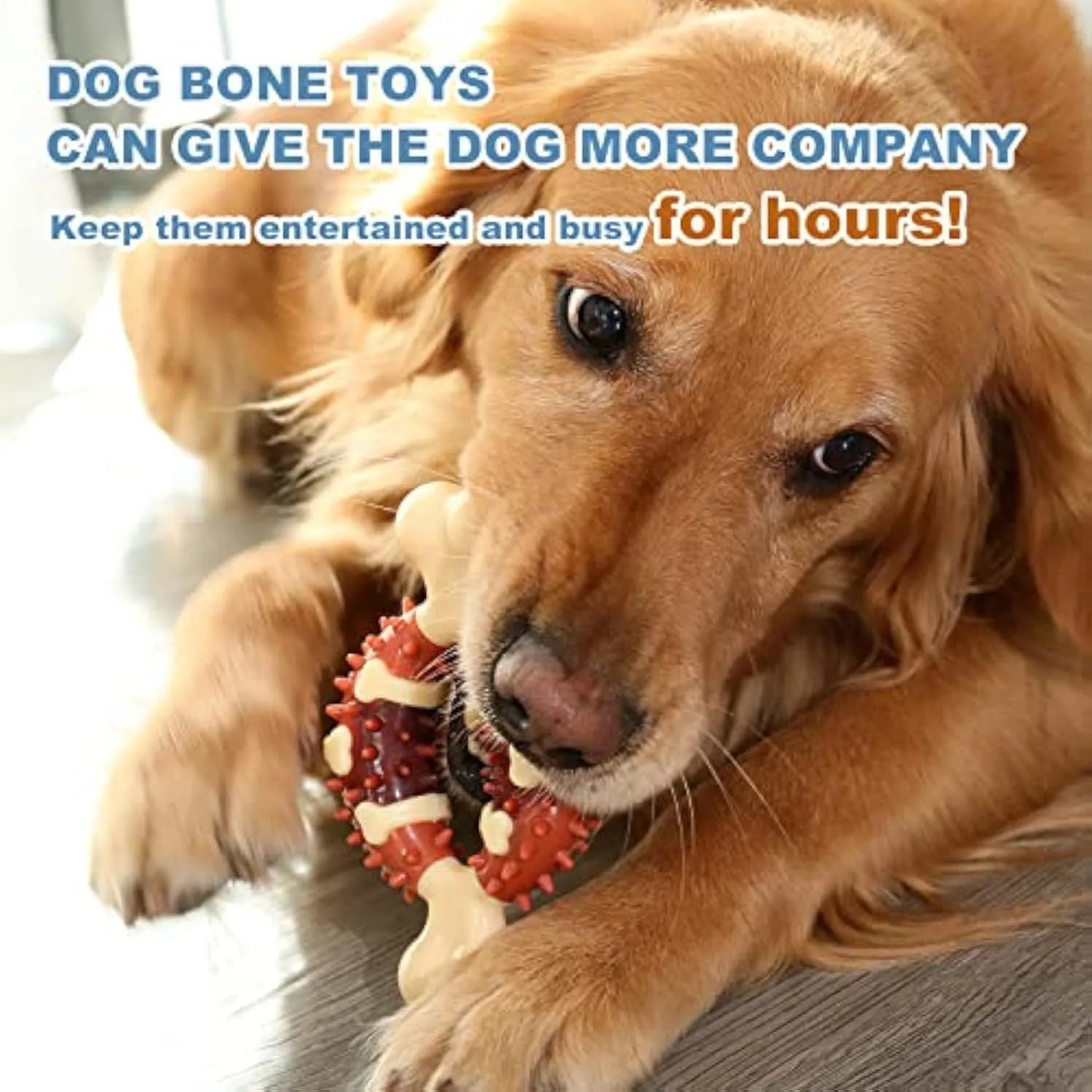 Natural rubber bone-shaped dog molar toy for teeth cleaning in two sizes