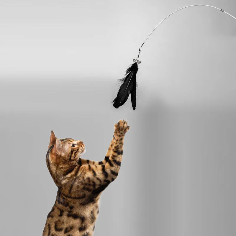 Telescopic cat fishing rod toy with self-hi bell and white goose feather lure on white shaft, extended for play