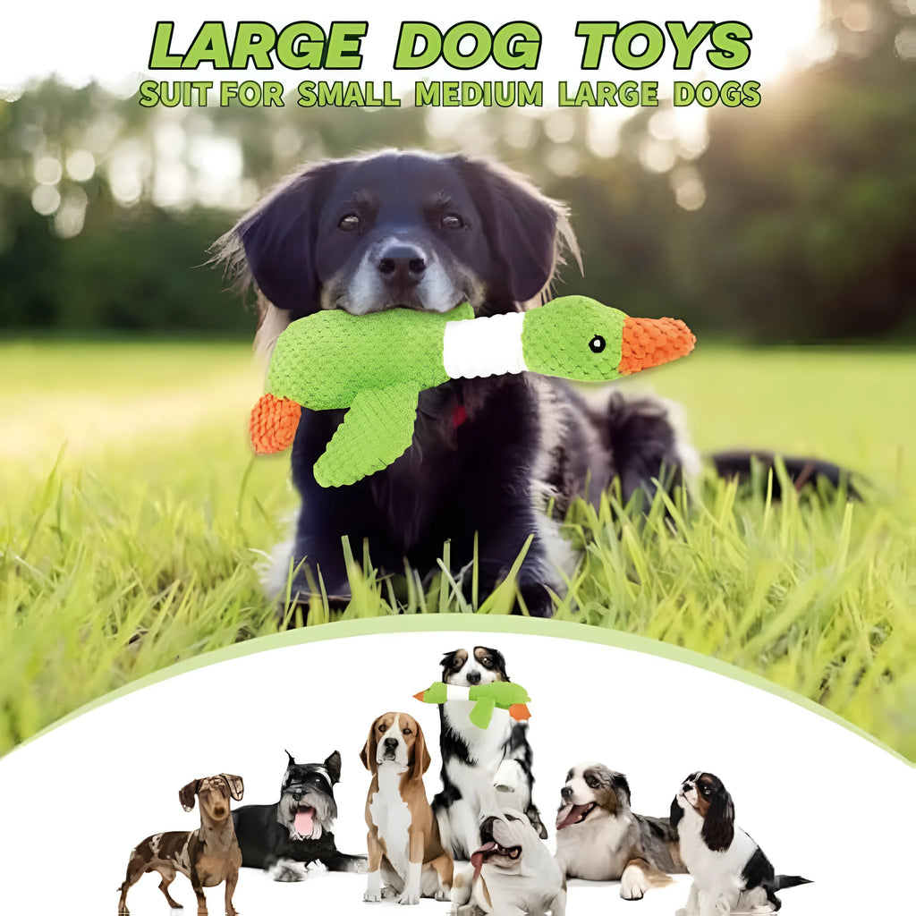 Blue durable duck dog plush toy with squeakers on a white background