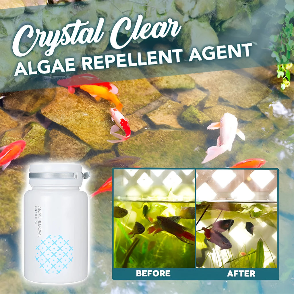 50g algaecide bottle for swimming pool and aquarium algae control treatment