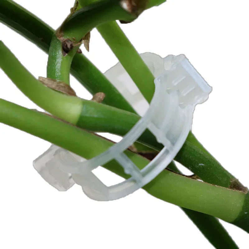Plastic plant grafting clips for tomatoes, pack of 50 pieces, garden support tool.