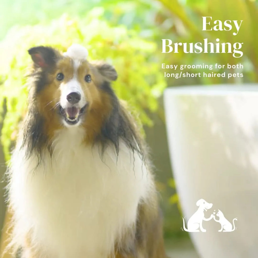Self-cleaning slicker brush for dog and cat grooming with blue handle and stainless steel bristles.