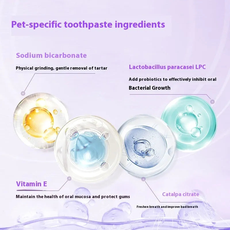 Pet toothbrush pen applicator with brush tip for dental gel application on dog and cat teeth