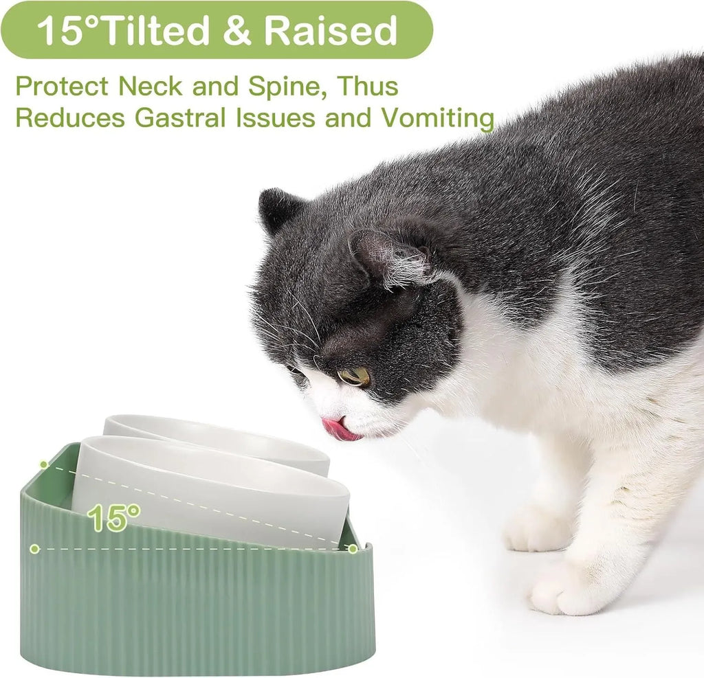White ceramic elevated cat feeder with two bowls on a tilted stand.