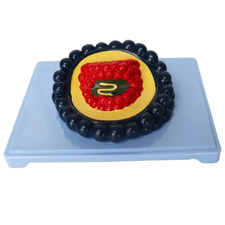 Black PVC virus biological model measuring 20×15×7cm for educational demonstration