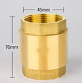 Brass horizontal check valve with threaded ends in 1 inch size for plumbing systems