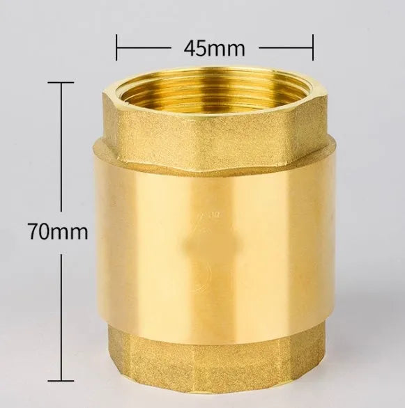 Brass horizontal check valve with threaded ends in 1 inch size for plumbing systems