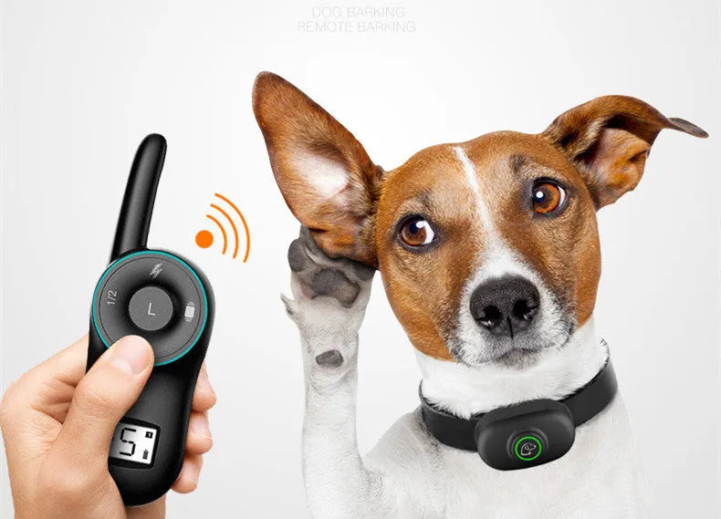 Waterproof rechargeable dog training collar with remote control in black or orange