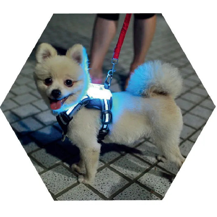 LED USB rechargeable silicone luminous dog collar with seven colour options for small to large dogs