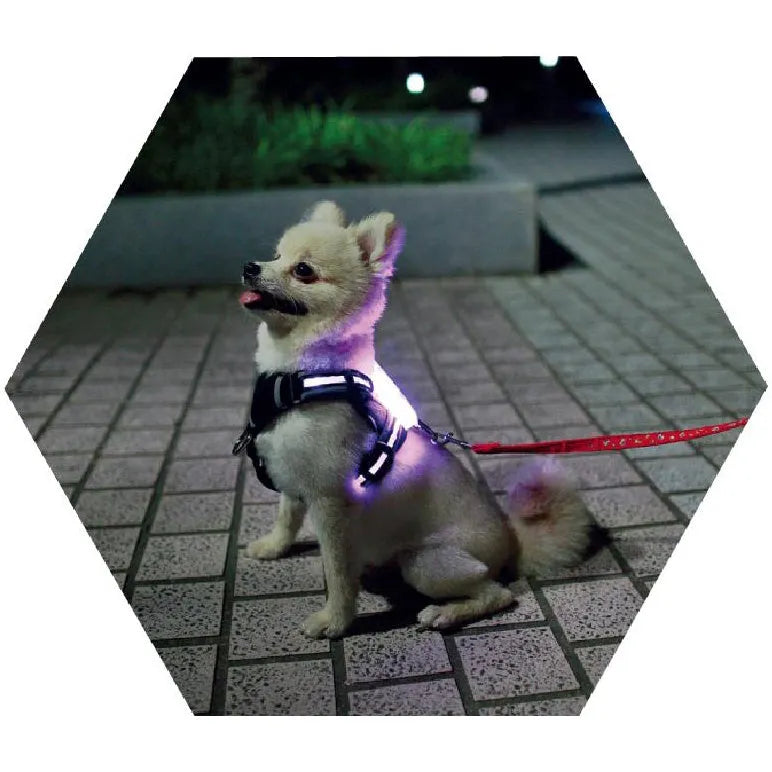 LED USB rechargeable silicone luminous dog collar with seven colour options for small to large dogs