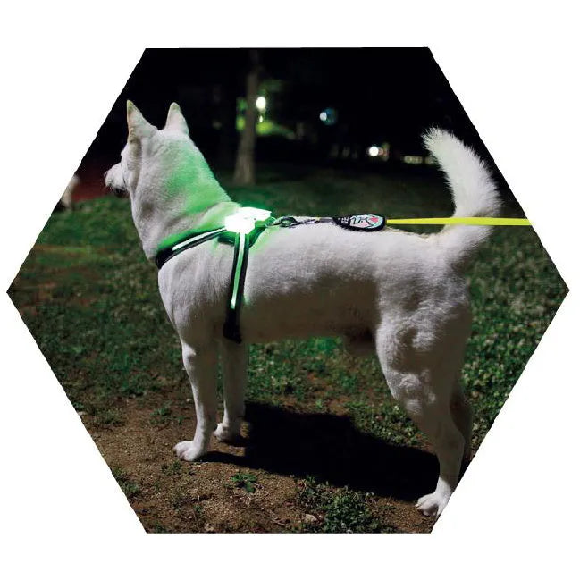 LED USB rechargeable silicone luminous dog collar with seven colour options for small to large dogs